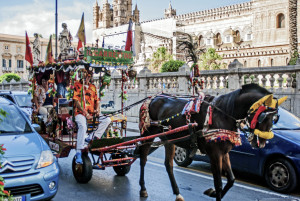 Festive Horse & Carraige - Palermo, Sicily