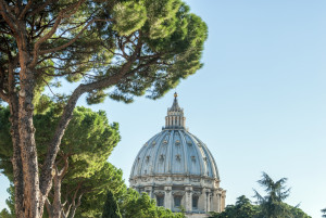 St. Peter's Basilica & Cypress Tree - Vatican City, Italy. 